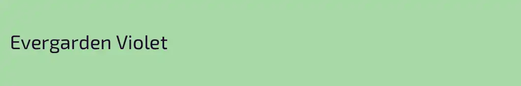Evergarden Violet